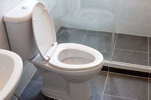 Toilet Replacement in San Rafael