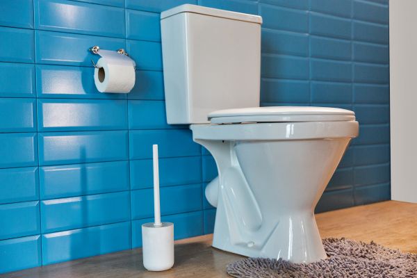 Toilet Tank Repair in San Rafael