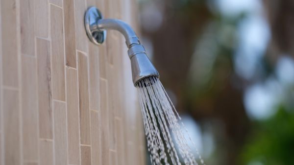 Cost of Showerhead Repair in San Rafael